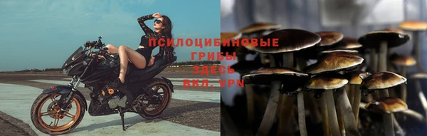 наркотики Медвежьегорск