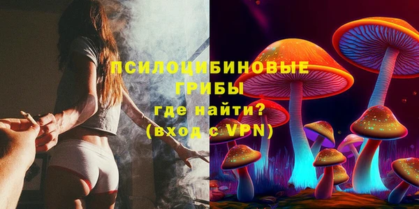 твердый Мегион