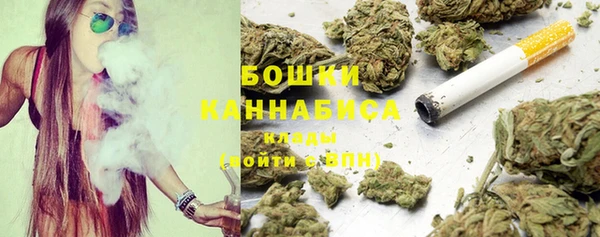 твердый Мегион