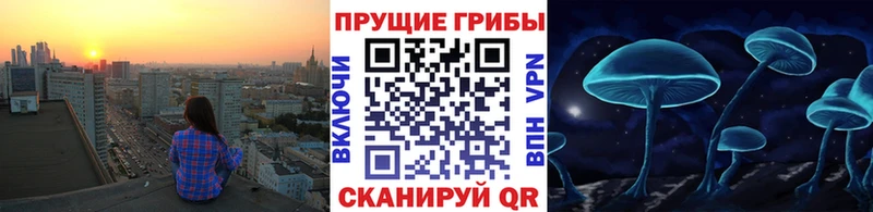 Псилоцибиновые грибы Psilocybe  что такое   Балаково 