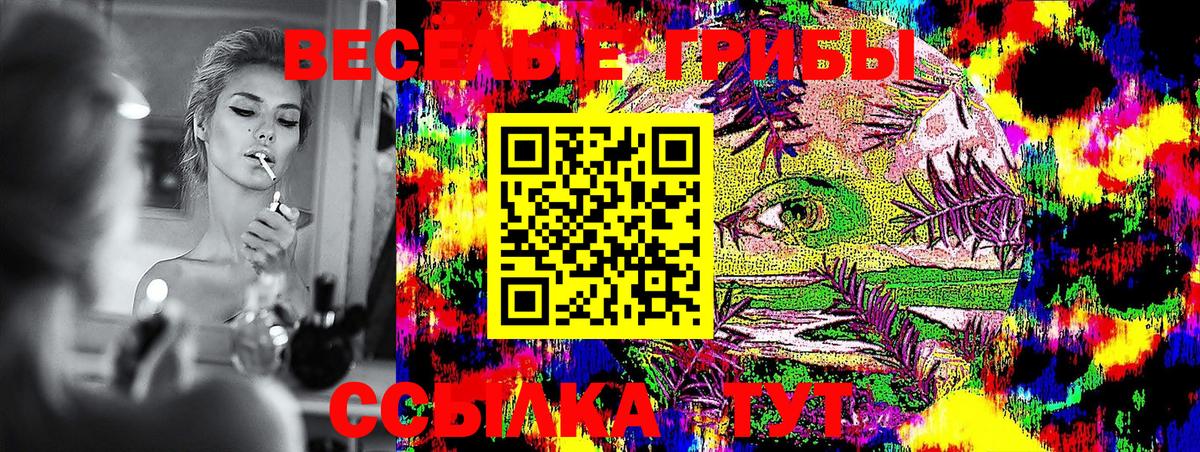 Балаково  как найти наркотики  Вход с VPN  Псилоцибиновые грибы Magic Shrooms  Галлюциногенные грибы Cubensis 