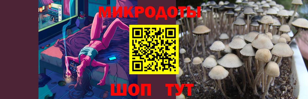 Псилоцибиновые грибы прущие грибы  Балаково  Галлюциногенные грибы Magic Shrooms 